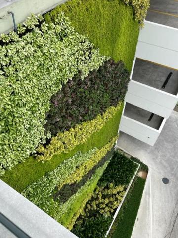 New Luxury Apartment With King - Size Bed Ceibos Γκουαγιακίλ Εξωτερικό φωτογραφία